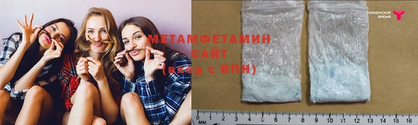 прущие грибы Дрезна