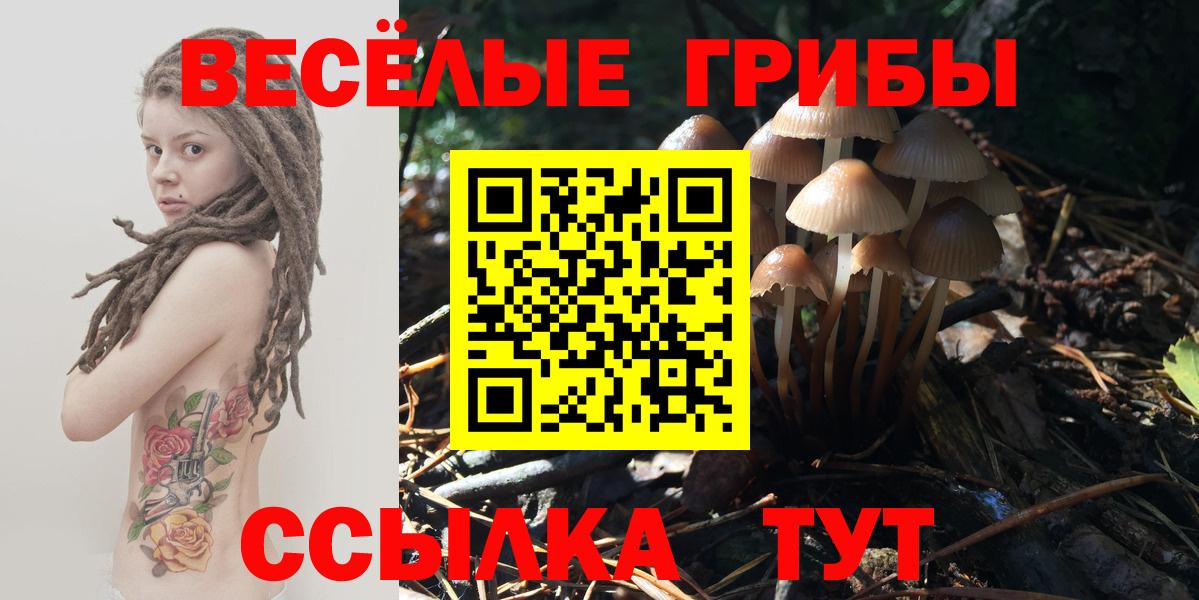 Псилоцибиновые грибы мухоморы Междуреченск