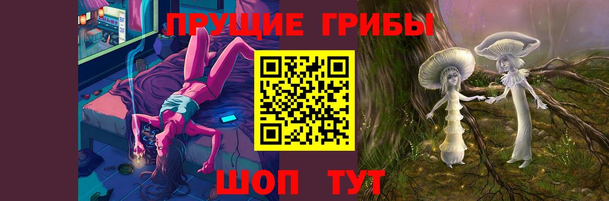 Междуреченск  Псилоцибиновые грибы прущие грибы  Вход с VPN 
